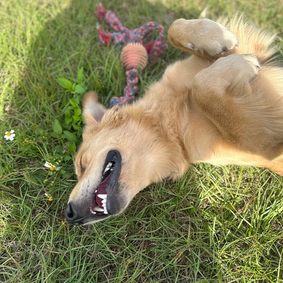 Meet your Posher, Julia - Picture 9 of 9